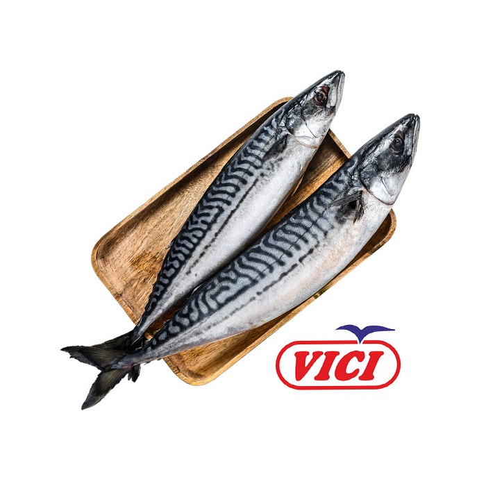 „ვიჩი“ სკუმბრია, გაყინული 900 გ