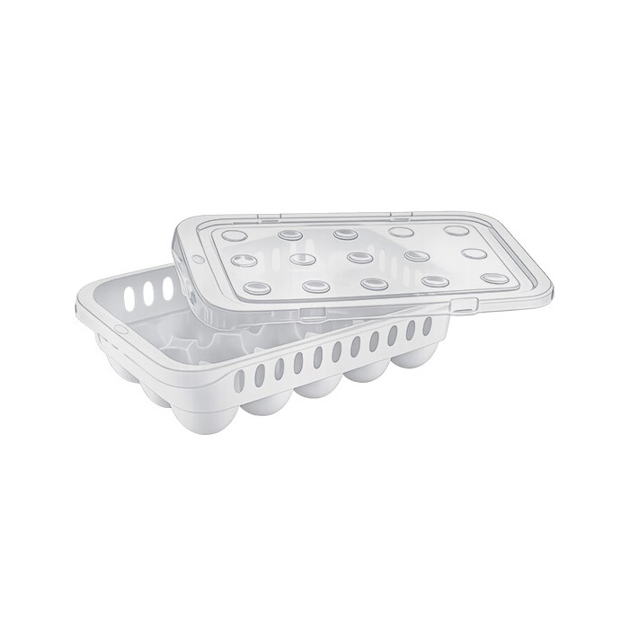 კვერცხის ჩასადები